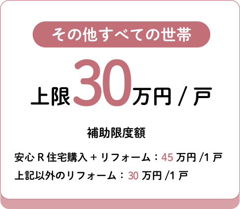 その他　上限30万円