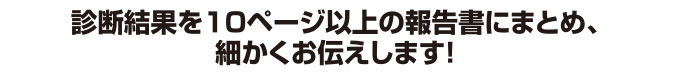 診断結果を10ページ以上の報告書にまとめ、細かくお伝えします！