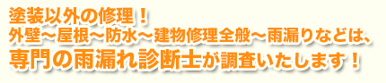 塗装以外の修理！外壁～屋根～防水～建物修理全般雨漏りなどは専門の雨漏れ診断士が調査いたします。