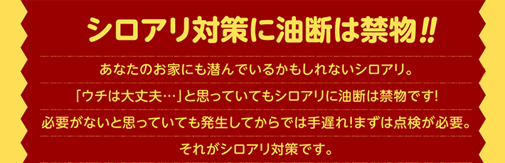 シロアリ対策に油断は禁物